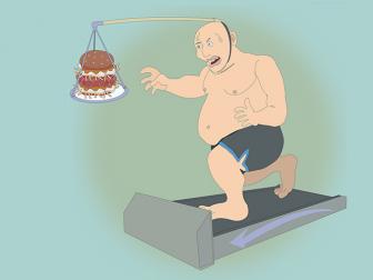 다이어트와 체중의 항상성