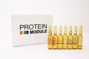 프로테인모듈