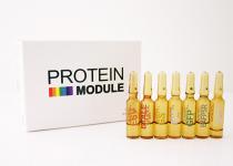 프로테인모듈