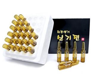 최종병기 신기전™ 