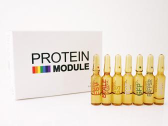 프로테인모듈