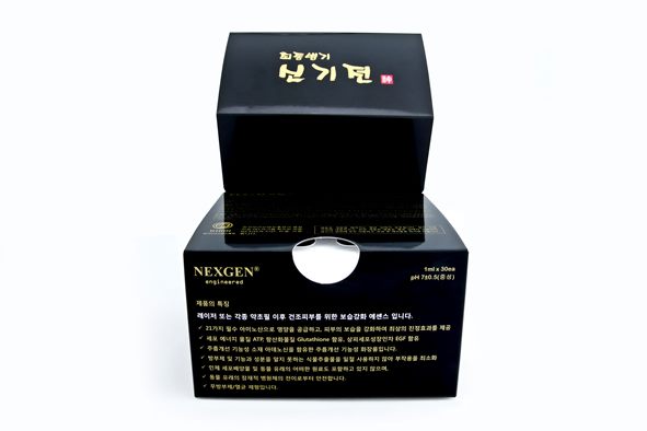 최종병기 신기전™ 