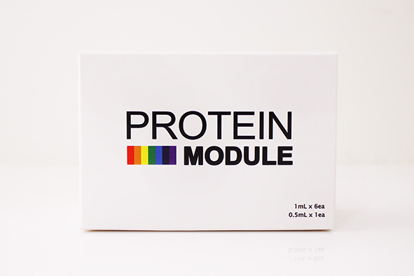 프로테인모듈